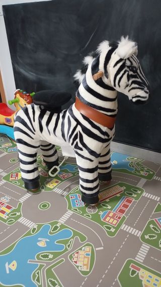 Poniclycle