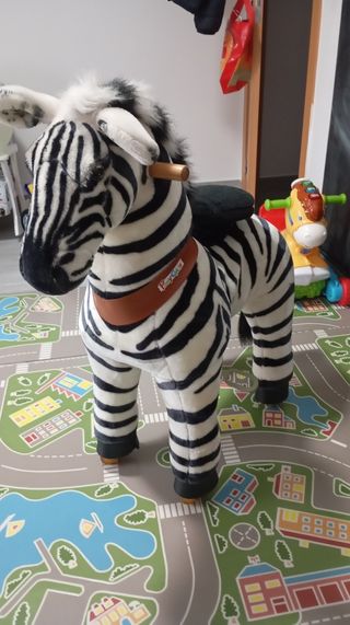Poniclycle