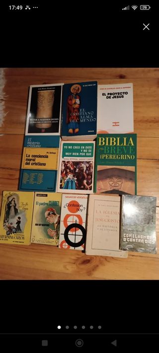 APARICIONES DE LA VIRGEN MARIA y ➕ libros Religios