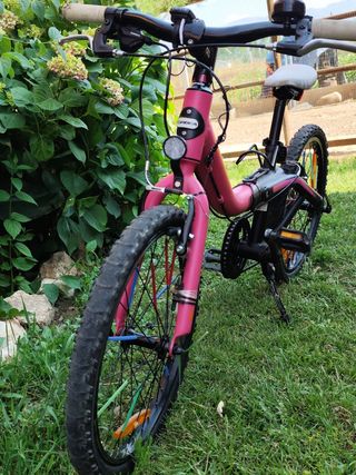 Bicicleta ORBEA GROW 2 extensible