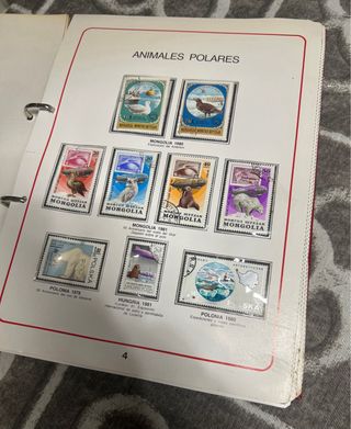 Sellos Mundo: Hongos & Aves