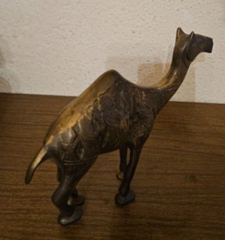 Statua Cammello Ottone Intagliata