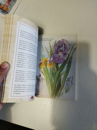 Auguri E Parole Per Ogni Occasione