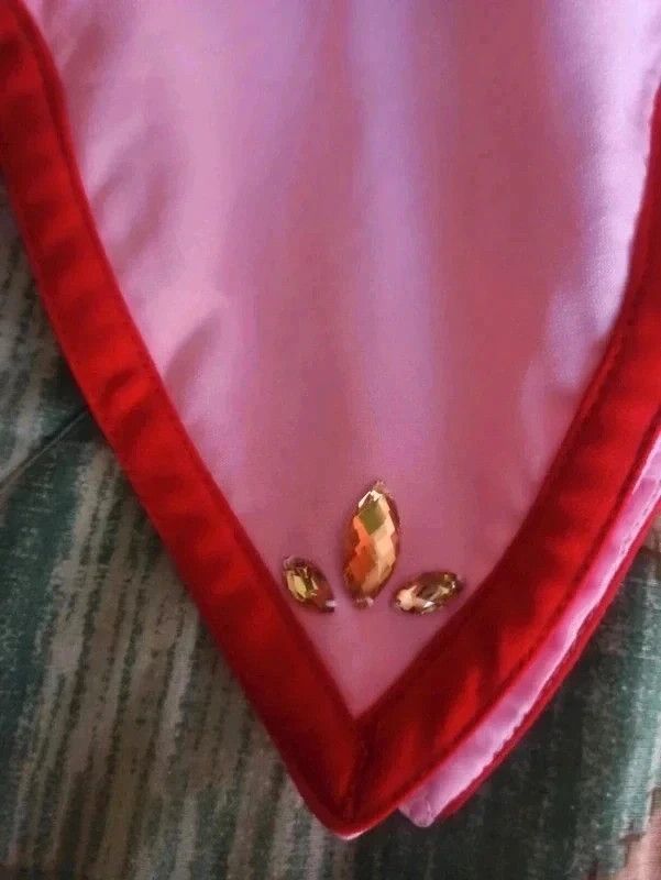 Costume cosplay Madoka Kaname Puella Magi Magica