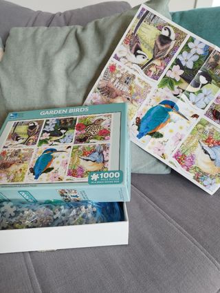 Puzzle 1000 piezas - Pajaros Jardin