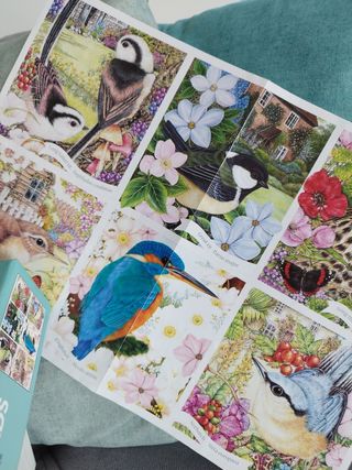 Puzzle 1000 piezas - Pajaros Jardin