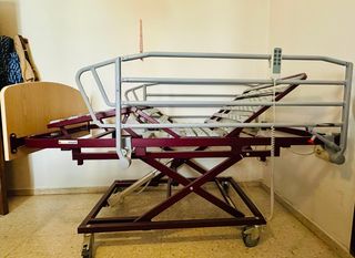 Cama articulada eléctrica con carro elevador.