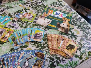 Collezione carte Rewild Panini - Gioco Carte