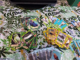 Collezione carte Rewild Panini - Gioco Carte