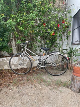 Bicicleta BH clásica