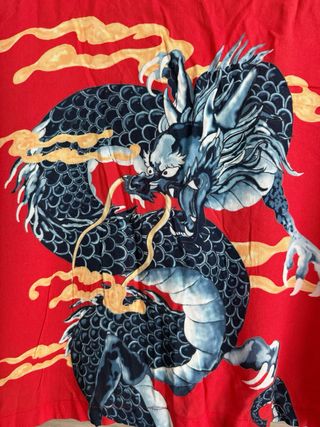 Camisa roja crop dragón