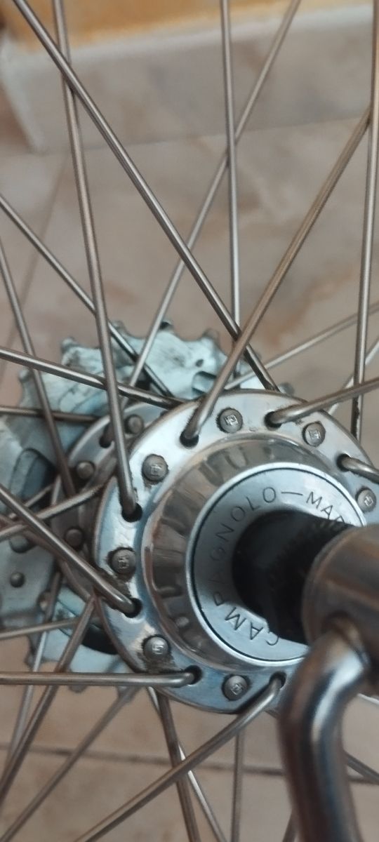 Llantas Campagnolo Record