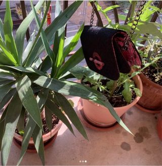 Bolso negro y rojo - Fiesta & diario
