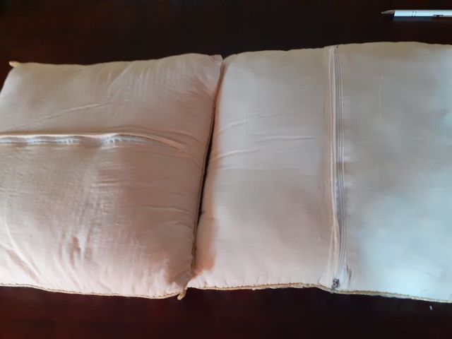 2 Cojines decorativos con estampado de pavo real