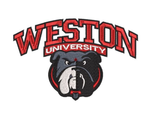 Picajes / bordados / digitalización / ponchados