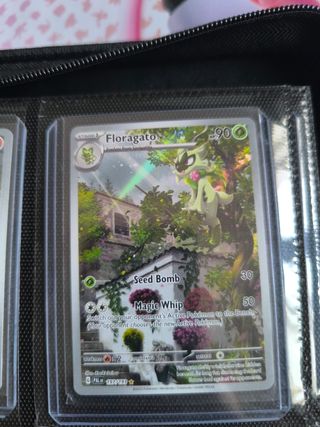 Carta Pokemon Floragato