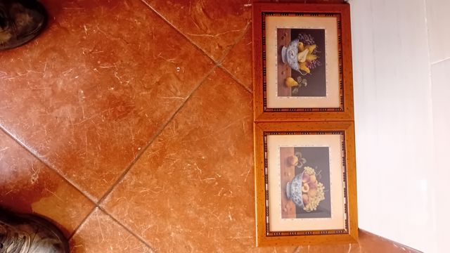 3 Cuadros Decorativos: Tigre, Flores