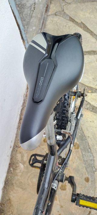 Bicicleta de montaña