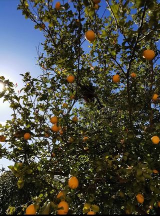 Chalet con piscina y jardín