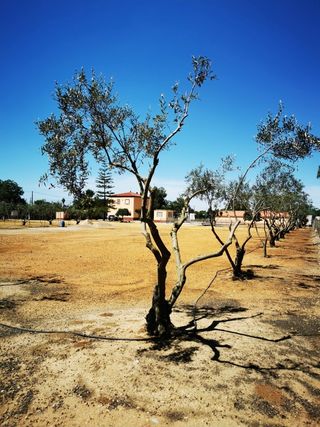 Chalet con piscina y jardín