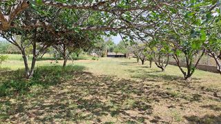 Casa rural en venta en Riudoms