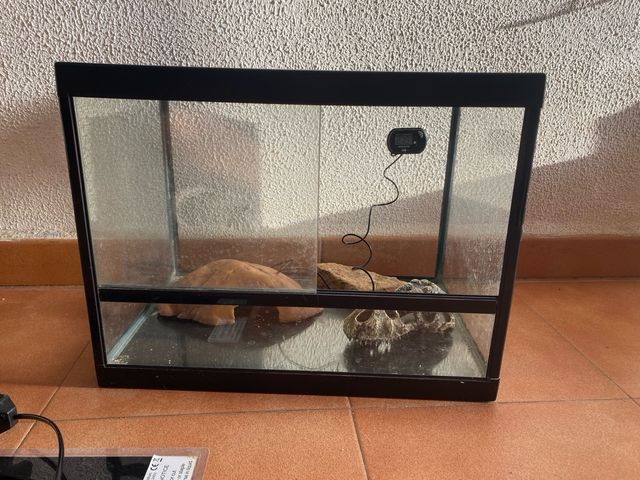 Terrario para gecko leopardo