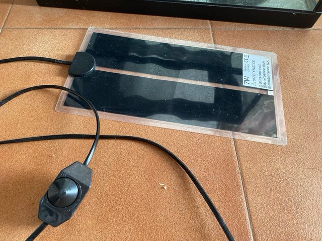 Terrario para gecko leopardo