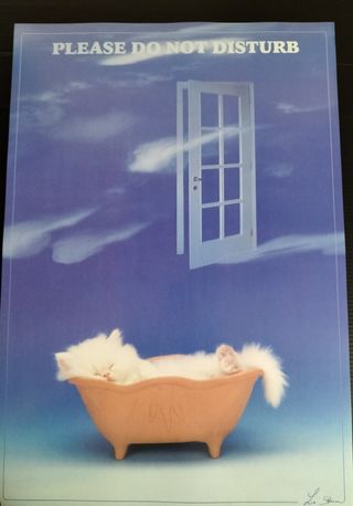 Poster Gatto - Non Disturbare