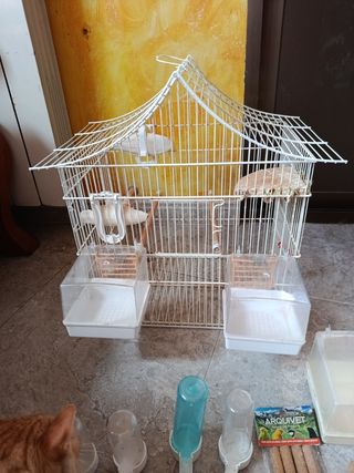 Jaula pajaros grande blanca