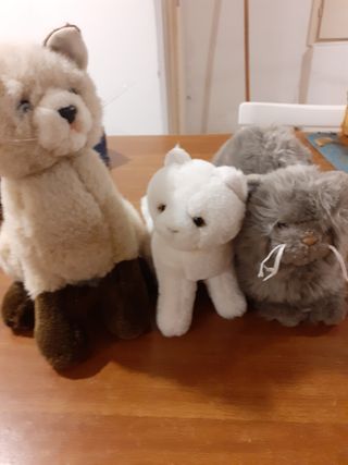 3 Peluche Gatti