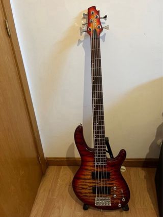 Bajo eléctrico 5 cuerdas