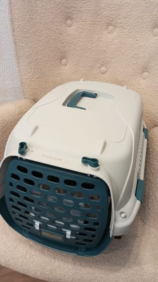 Transportadora animal verde