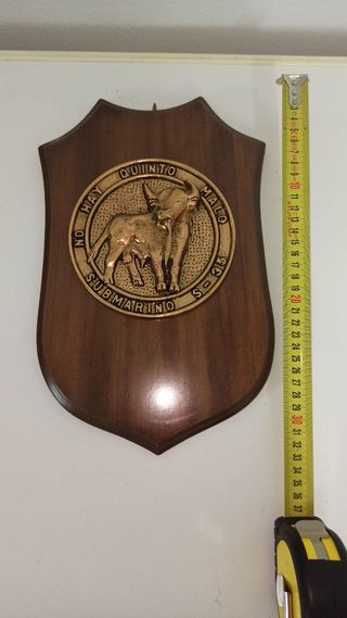 Metopa antigua
