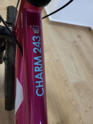 Bicicleta Niño 24" Mitical Charm