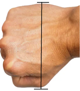 Guantes Knuckles cosplay Sonic