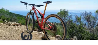 Cuadro doble de carbono Willier 29" MTB