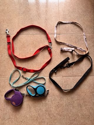 Correas perro preguntar