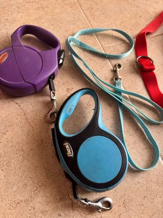 Correas perro preguntar