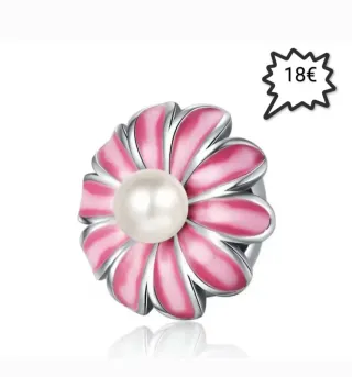 Pandora Charms Plata varias piezas