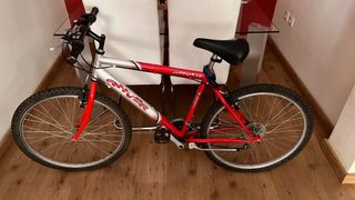 Bicicleta montaña Carver
