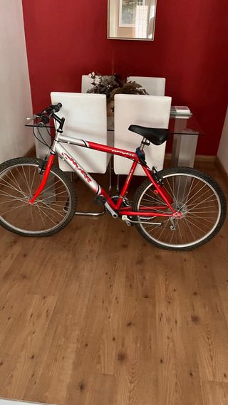 Bicicleta montaña Carver