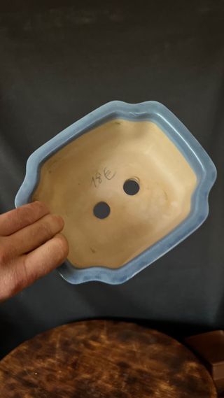 MACETA BONSAI SHOHIN RECTANGULAR FLOR AZUL PASTEL