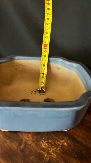 MACETA BONSAI SHOHIN RECTANGULAR FLOR AZUL PASTEL