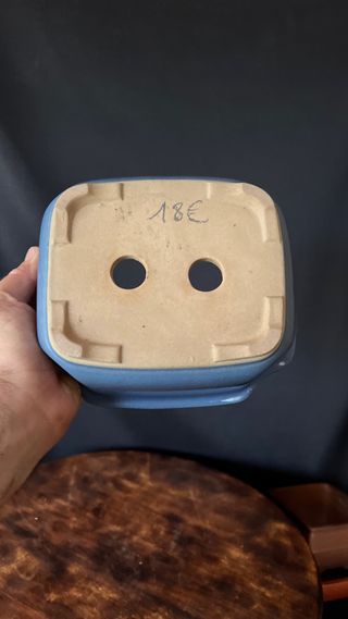 MACETA BONSAI SHOHIN RECTANGULAR FLOR AZUL PASTEL