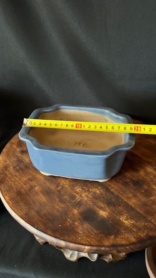 MACETA BONSAI SHOHIN RECTANGULAR FLOR AZUL PASTEL