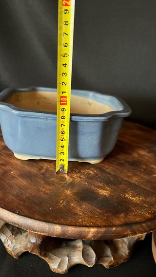 MACETA BONSAI SHOHIN RECTANGULAR FLOR AZUL PASTEL