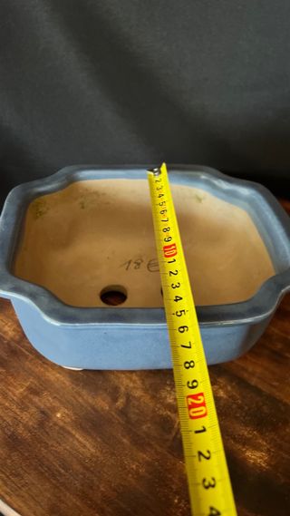 MACETA BONSAI SHOHIN RECTANGULAR FLOR AZUL PASTEL