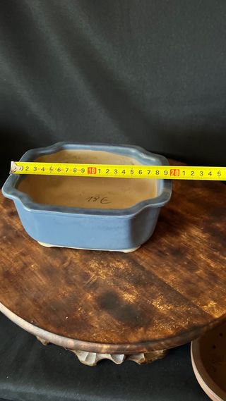 MACETA BONSAI SHOHIN RECTANGULAR FLOR AZUL PASTEL