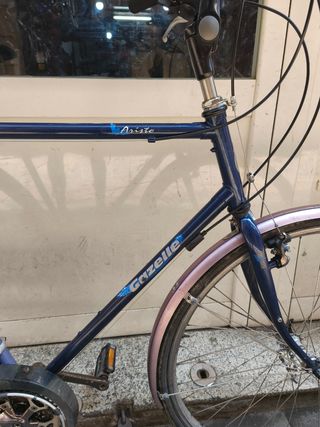 Bicicleta Gazelle XL