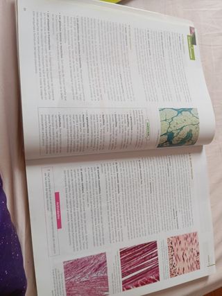Anatomía Aplicada.